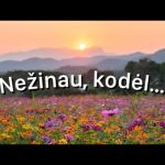 Anatolijus - Nežinau, kodėl 1729325415_hqdefault.jpg