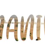 1732192834_maxresdefault.jpg